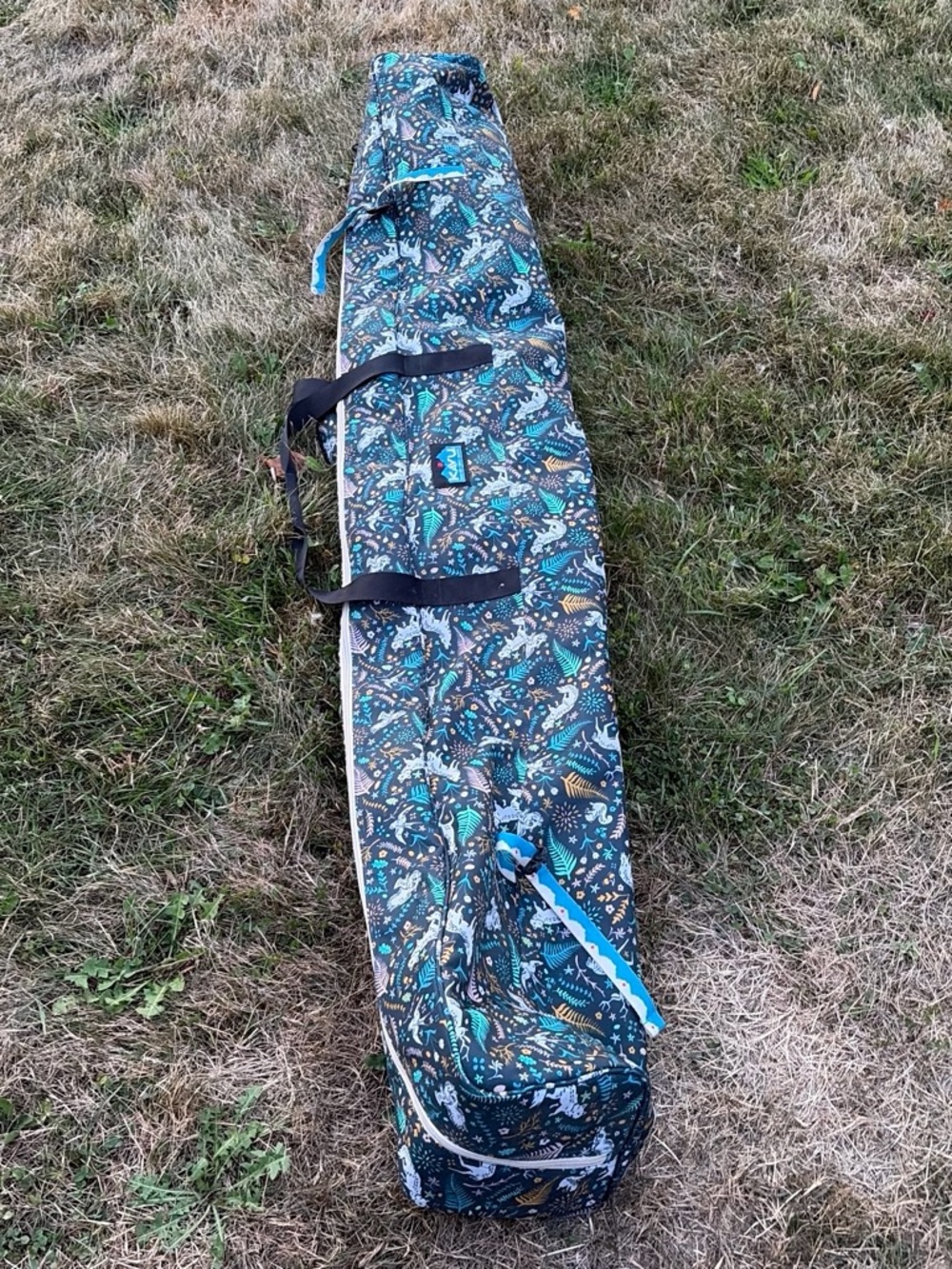 Ski & ski pole bag  Teal & Black Patterned